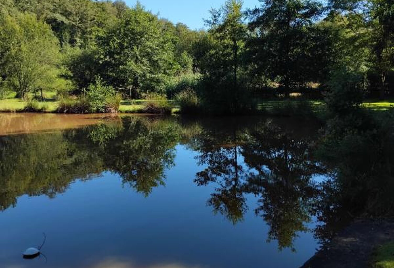 Frahier, au calme Etang dans un cadre verdoyant — photo 1