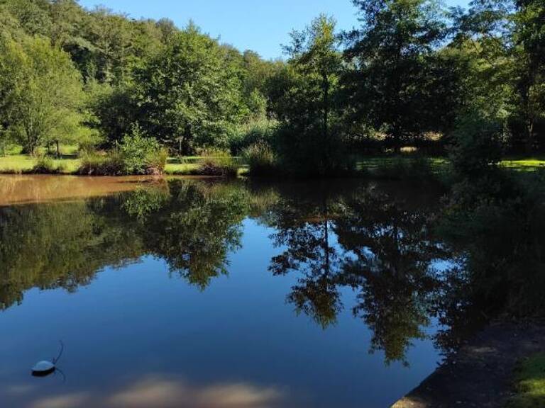 Frahier, au calme Etang dans un cadre verdoyant — photo 1
