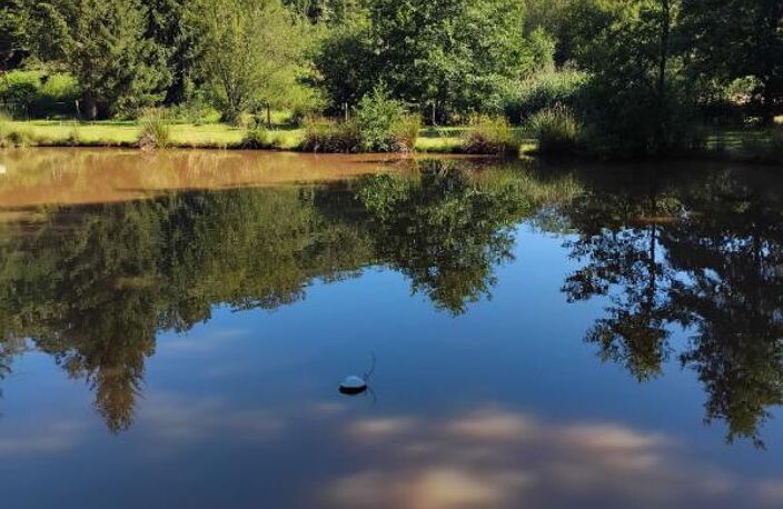Frahier, au calme Etang dans un cadre verdoyant — photo 3