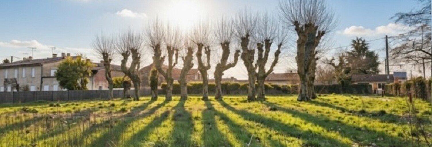 Terrain  407 m² à vendre à Arbanats (33640)