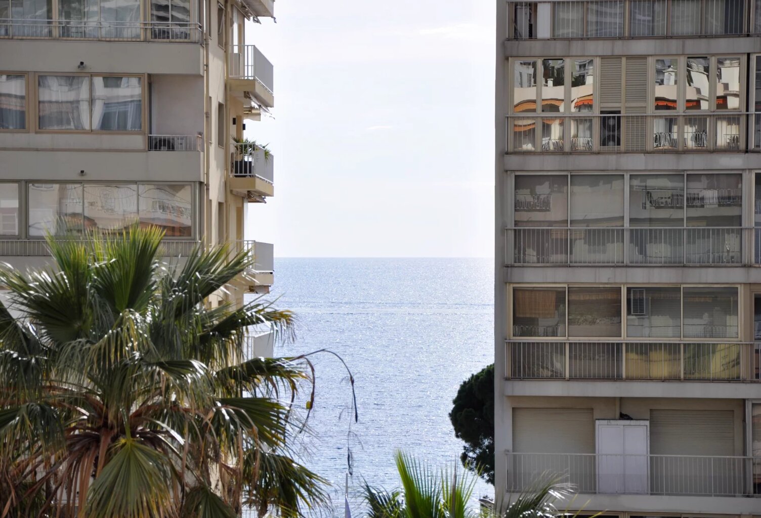 Location saisonnière - Cannes Martinez - 2P — photo 1