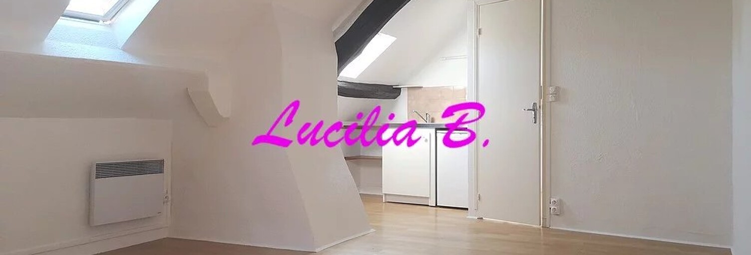 Appartement 1 Pièce 16 m² à louer à Tours (37000)