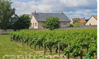 Maison 6 Pièces 177 m² à vendre à Nuits-Saint-Georges (21700)