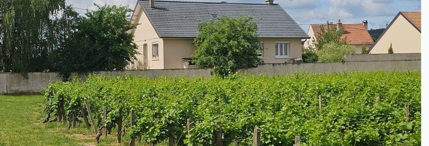 Maison 6 Pièces 177 m² à vendre à Nuits-Saint-Georges (21700)