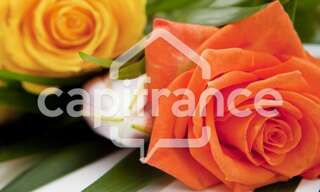 Terrain  73480 m² à vendre à Mamoudzou (97600)