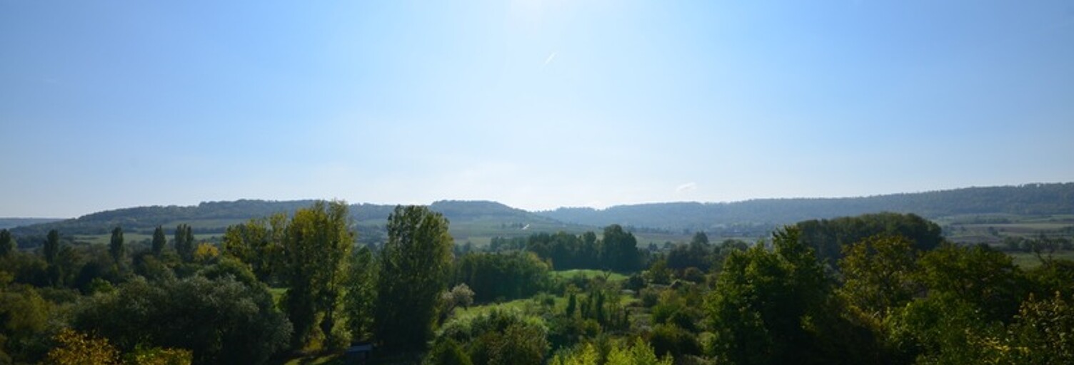 Maison 6 Pièces 170 m² à vendre à Dormans (51700)