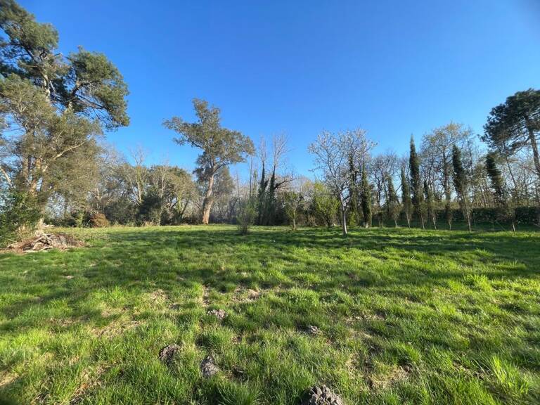 Terrain À Vendre — photo 1