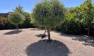 Maison 4 Pièces 77 m² à vendre à Pinet (34850)