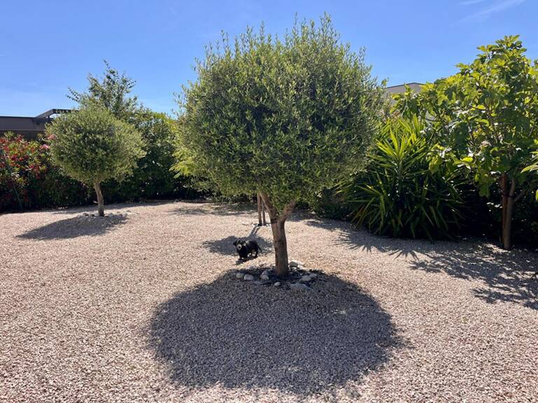 Villa récente de plain pied à 10 mns des plages — photo 1