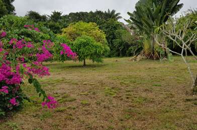 Maison 2 pièces 257000 €