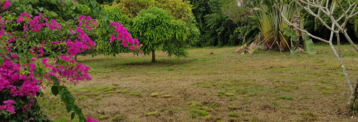 Maison 2 Pièces 111 m² à vendre à Macouria (97355)