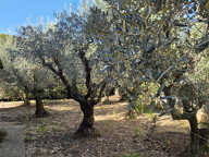Plain-pied, idéalement situé dans le village — photo 2