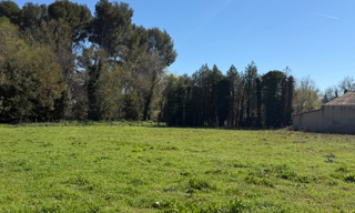 Terrain 3100 m² à construire Maussane-les-Alpilles (13520)