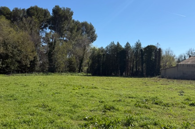 Terrain  636000 €
