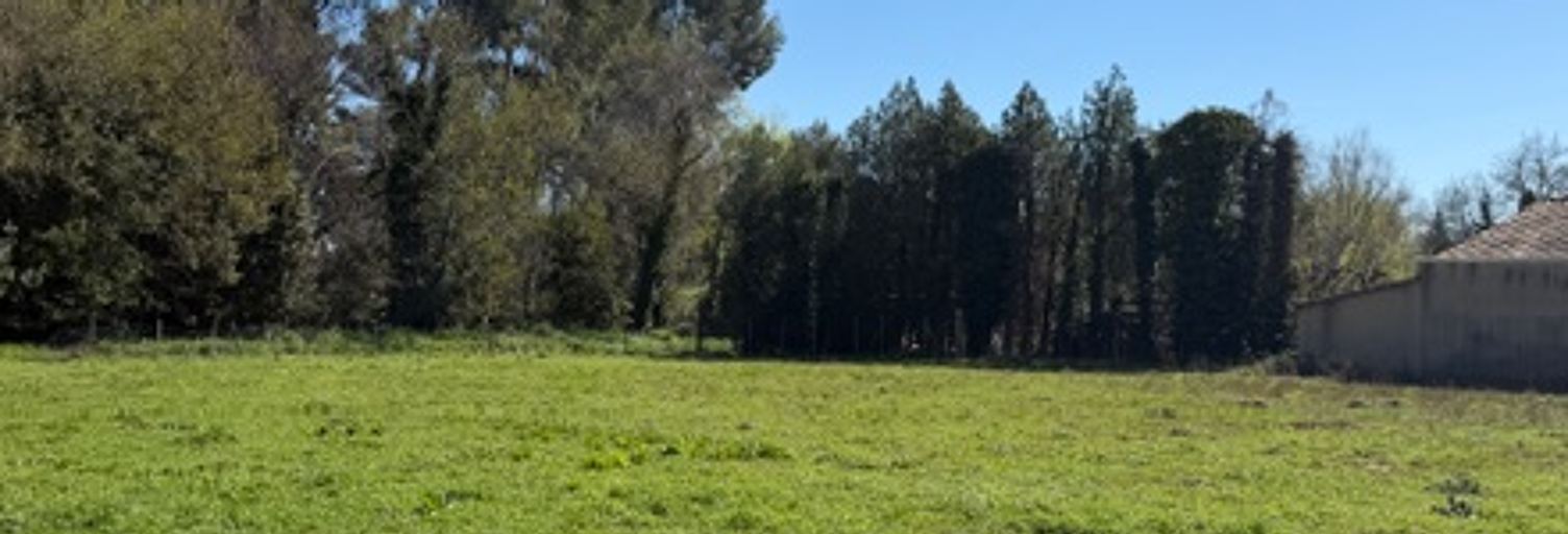 Terrain 3100 m² à construire Maussane-les-Alpilles (13520)