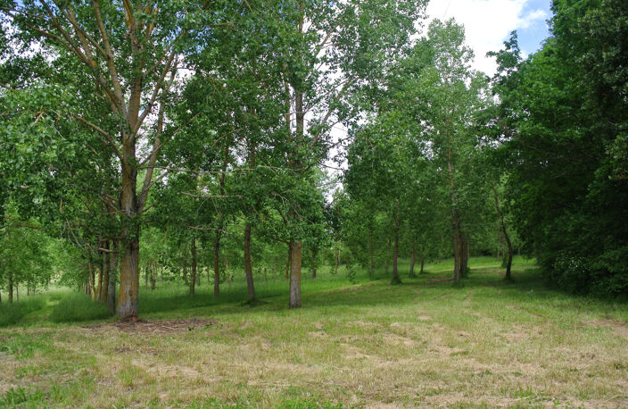 Maison sur l'axe Marmande -  Miramont de Guyenne — photo 5