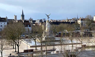 Appartement 3 Pièces 47 m² à louer à Dijon (21000)