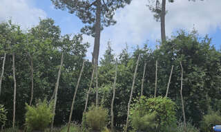 Maison 7 Pièces 233 m² à vendre à Lège (33950)