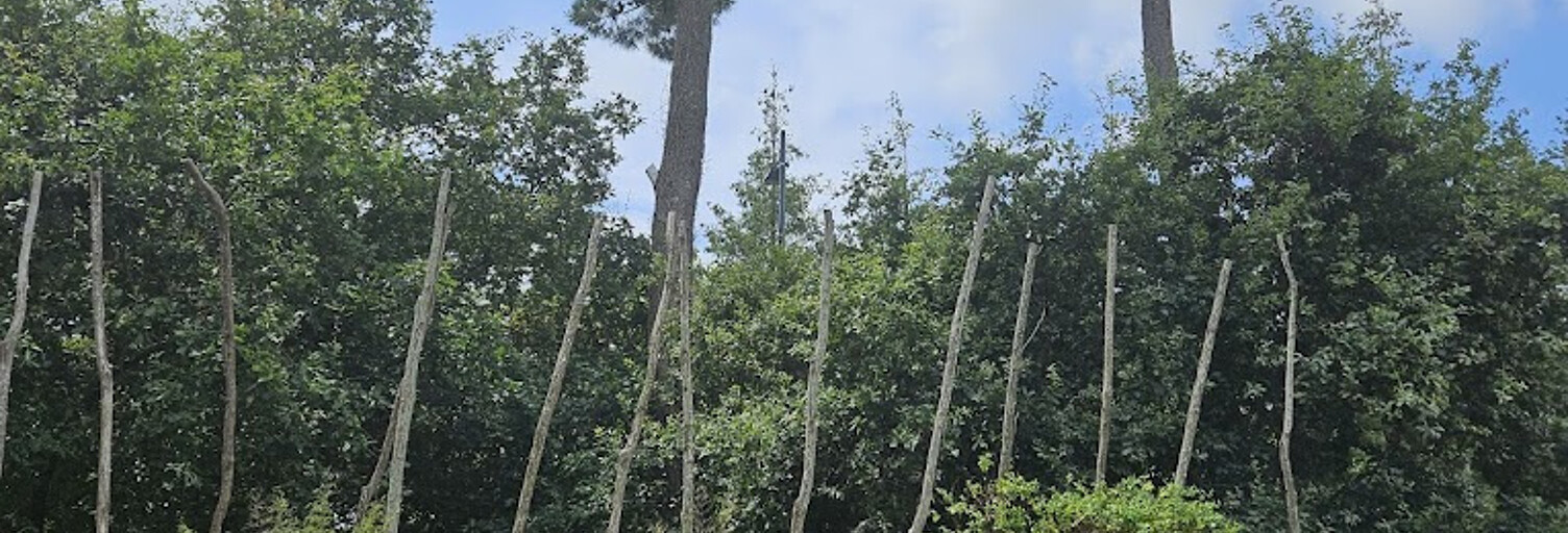 Maison 7 Pièces 233 m² à vendre à Lège (33950)