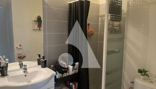 Appartement 1 pièces  à louer Tarbes 65000