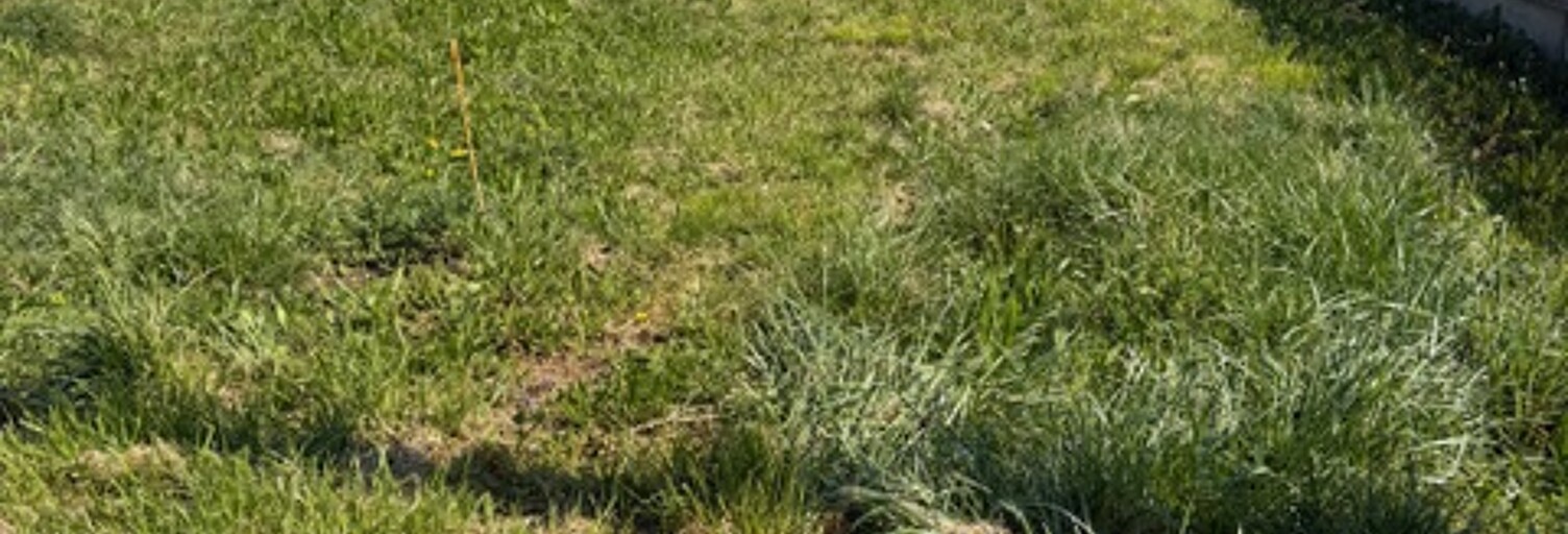 Terrain  1592 m² à vendre à Saint-Pierre-d'Albigny (73250)