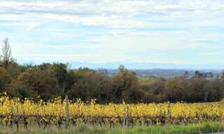 Maison 4 Pièces 176 m² à vendre à Panjas (32110)