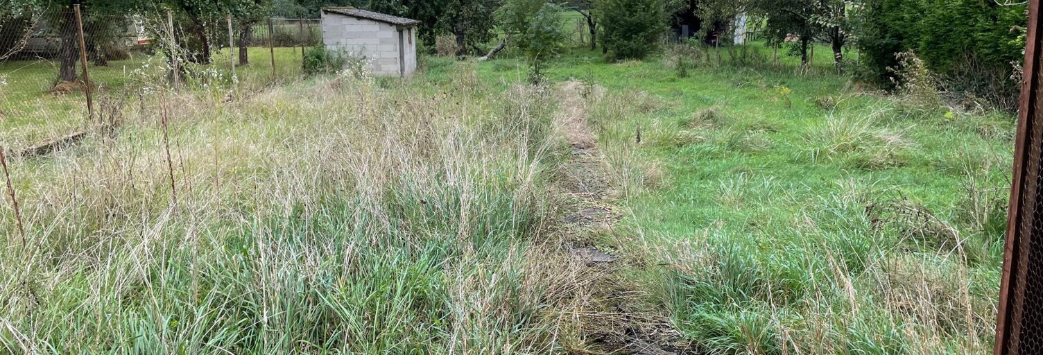 Terrain  1165 m² à vendre à Mangiennes (55150)