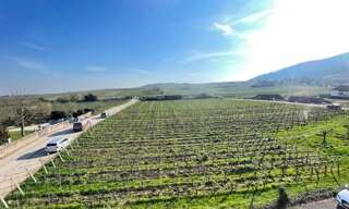 Appartement 4 Pièces 68 m² à vendre à Riquewihr (68340)