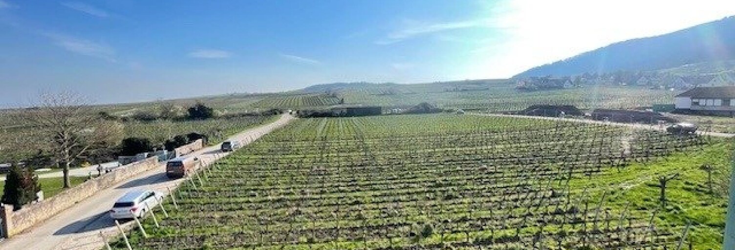 Appartement 4 Pièces 68 m² à vendre à Riquewihr (68340)