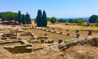 Terrain  3000 m² à vendre à Aléria (20270)