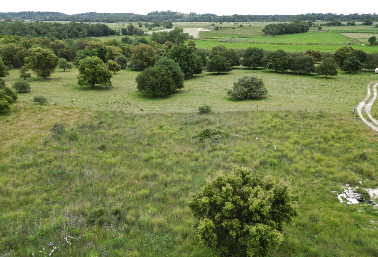 Aléria - Terrain de 3 000 m2 + permis d'une maison accordé e — photo 1