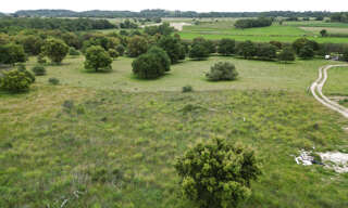 Terrain  3000 m² à vendre à Aléria (20270)