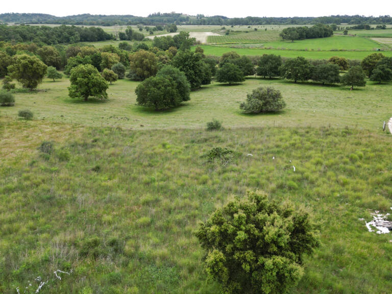 Aléria - Terrain de 3 000 m2 + permis d'une maison accordé e — photo 1