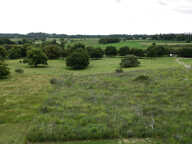 Aléria - Terrain de 3 000 m2 + permis d'une maison accordé e — photo 2