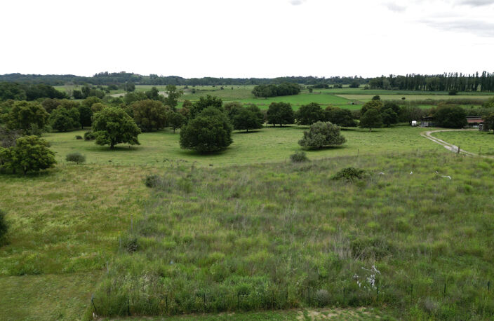 Aléria - Terrain de 3 000 m2 + permis d'une maison accordé e — photo 2