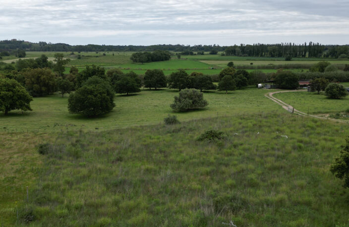 Aléria - Terrain de 3 000 m2 + permis d'une maison accordé e — photo 4