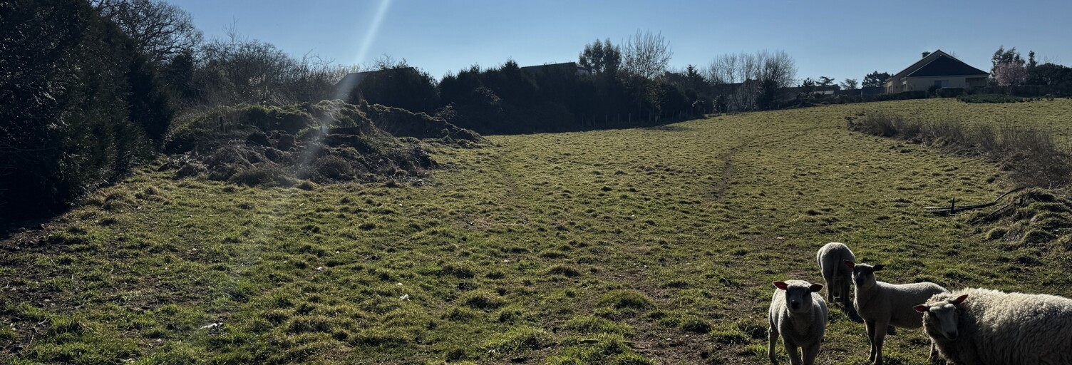 Terrain  4874 m² à vendre à Moisdon-la-Rivière (44520)