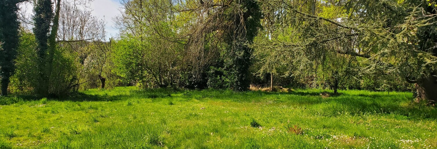 Terrain  2546 m² à vendre à Samoreau (77210)