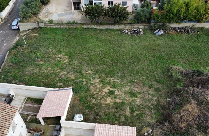 Terrain — photo 2