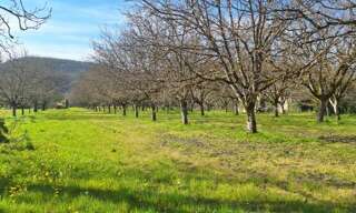 Terrain  1650 m² à vendre à Saint-Sozy (46200)