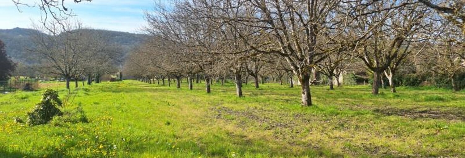 Terrain  1650 m² à vendre à Saint-Sozy (46200)