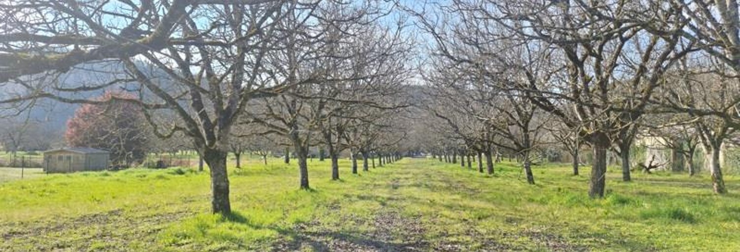 Terrain  1650 m² à vendre à Saint-Sozy (46200)