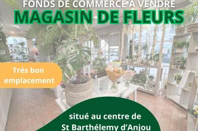Commerce  66500 €