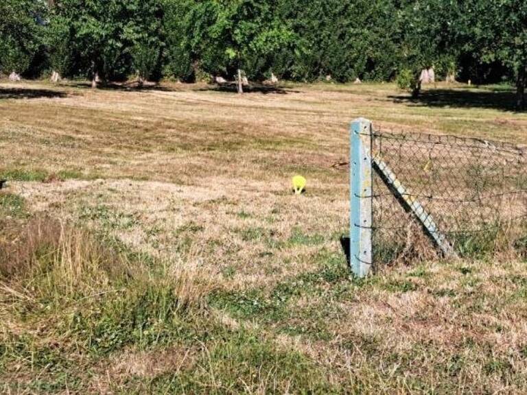 Belle opportunité!!! — photo 1