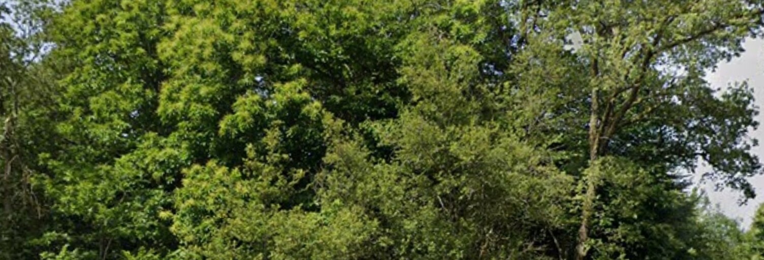 Terrain  16400 m² à vendre à Séreilhac (87620)