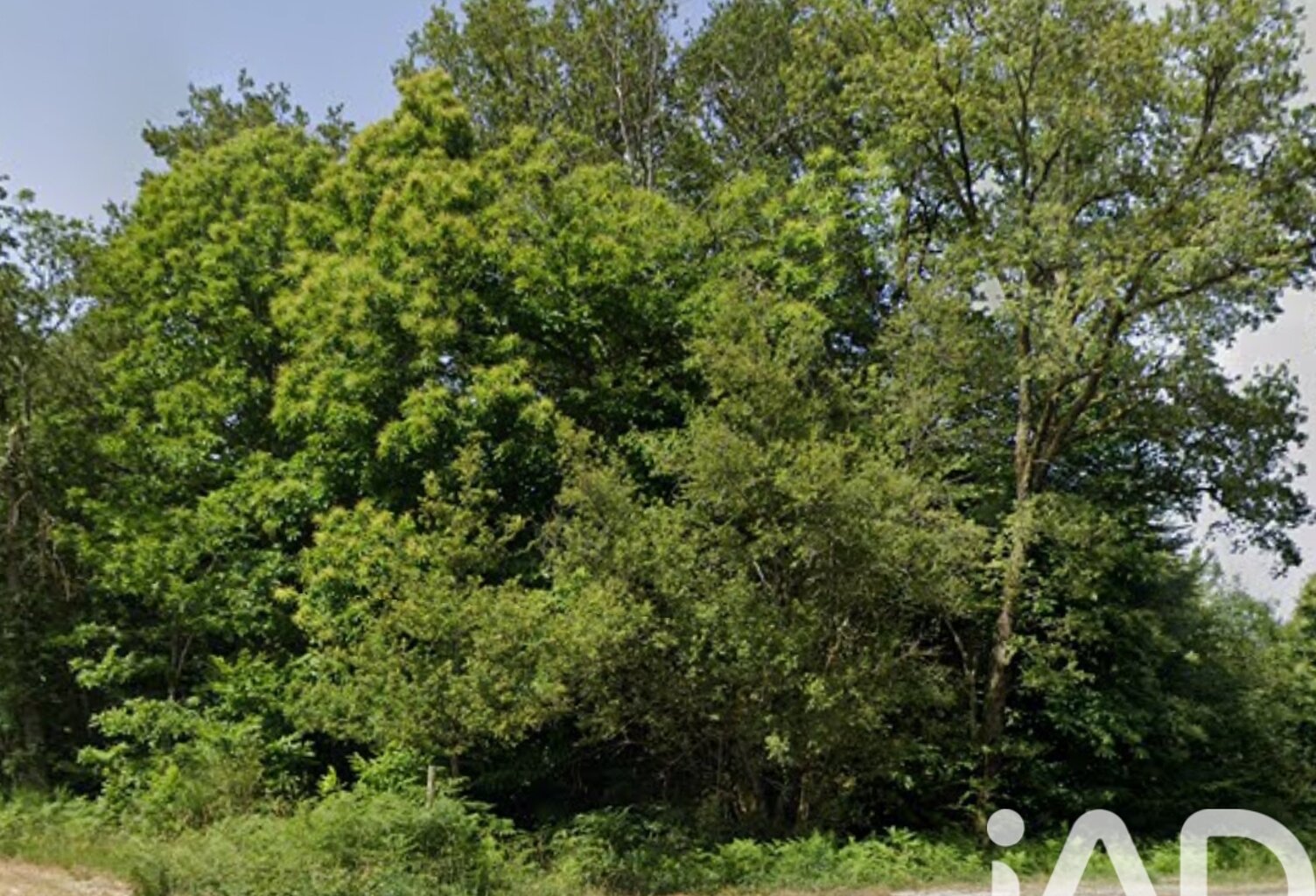 Vente Terrain 16 400 m&sup2; — photo 1