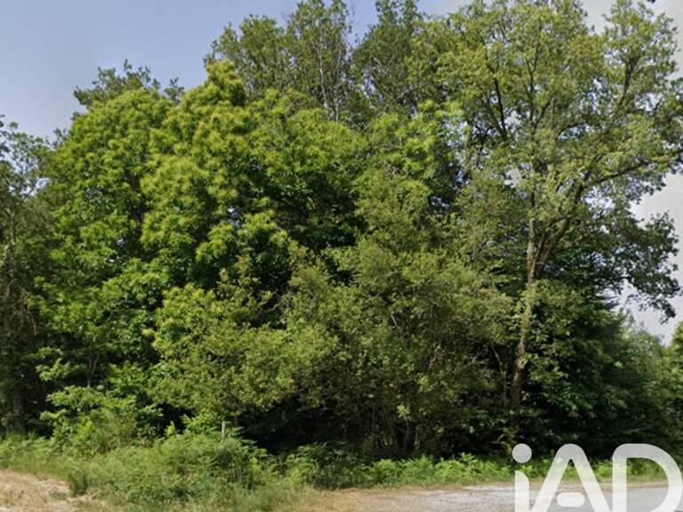 Vente Terrain 16 400 m&sup2; — photo 1