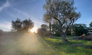 Terrain  1200 m² à vendre à Collias (30210)