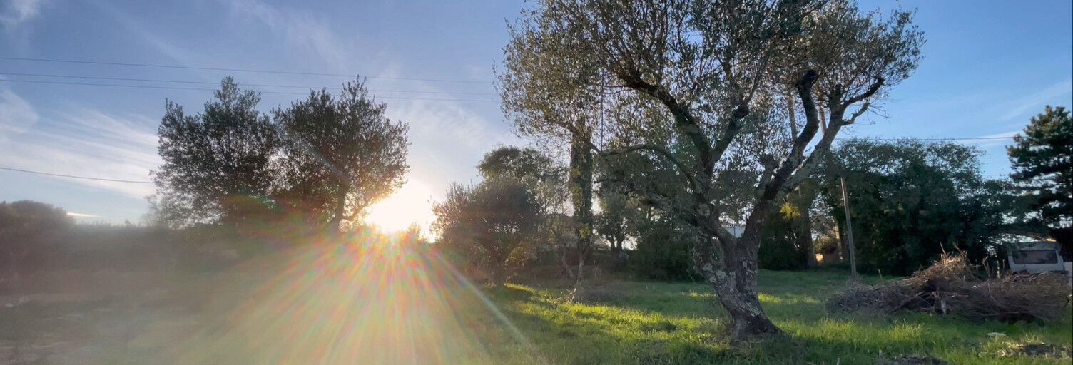 Terrain  1200 m² à vendre à Collias (30210)