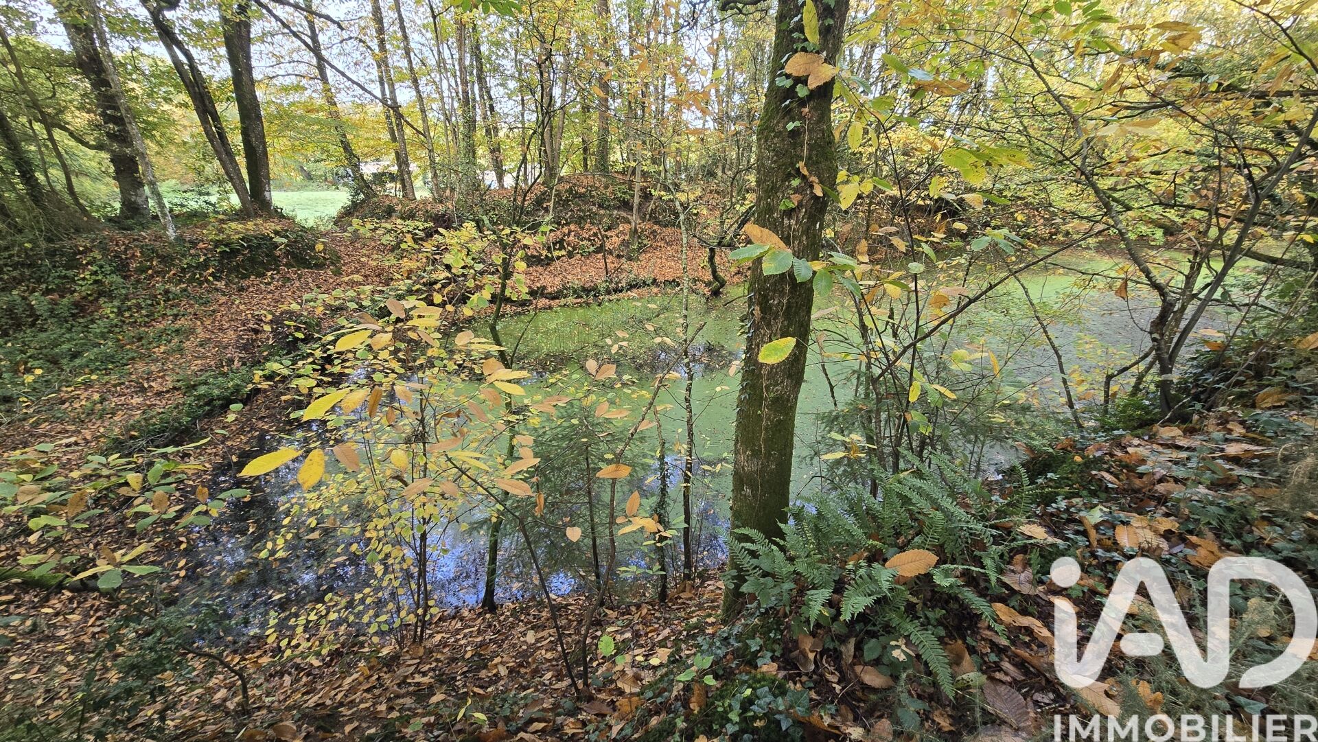 Vieux-Vy-Sur-Couesnon - 10210m²